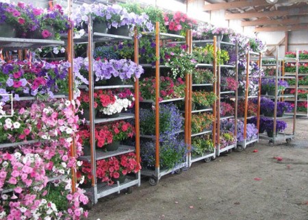 Light Duty Movable Flower Trolley for Greenhouse