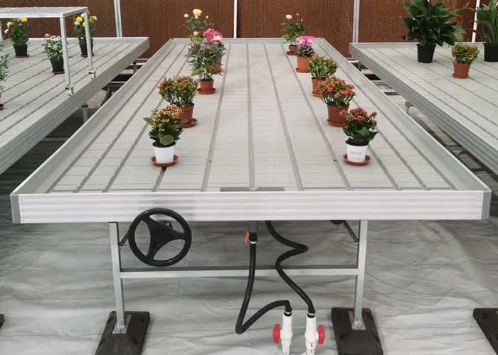 Hydroponic Grow Table Greenhouse Rolling Bench