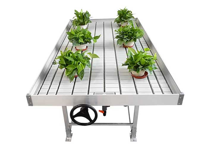Ebb and Flow Grow Rolling Bench for Greenhouse